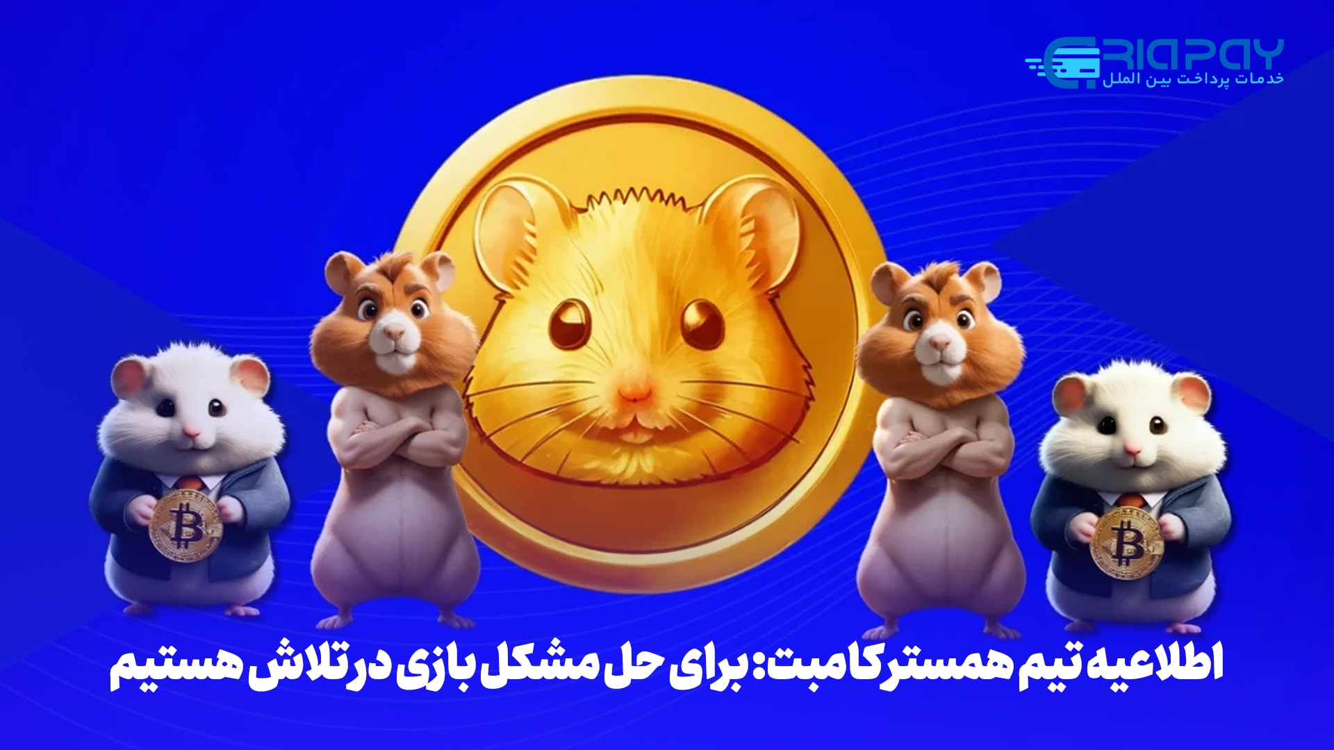 اطلاعیه تیم همستر کامبت: برای حل مشکل بازی در تلاش هستیم