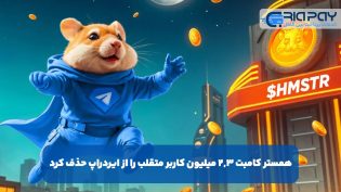 همستر کامبت 2.3 میلیون کاربر متقلب را از ایردراپ حذف کرد