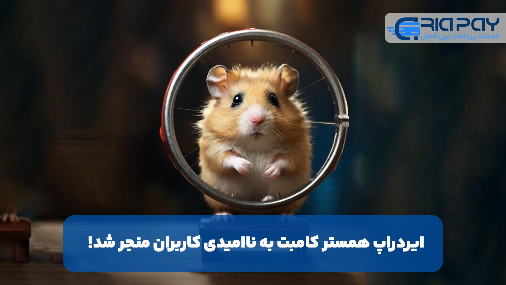 ایردراپ همستر کامبت به ناامیدی کاربران منجر شد!