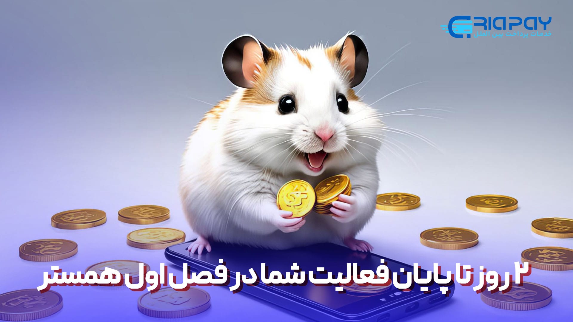 2 روز تا پایان فعالیت شما در فصل اول همستر!